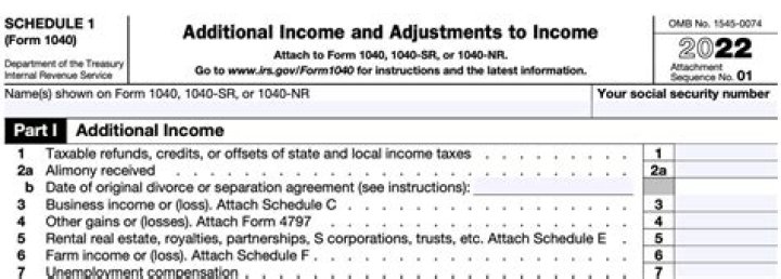 What qualifies as other income on Schedule 1?