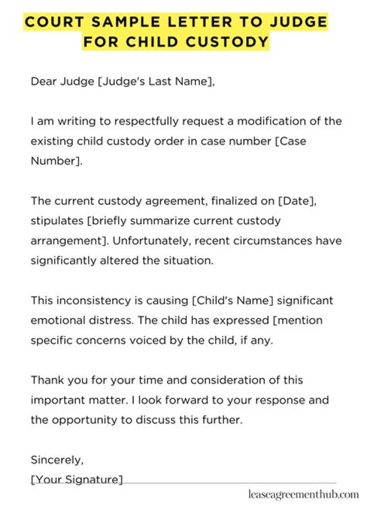 What should you not say in child custody court?