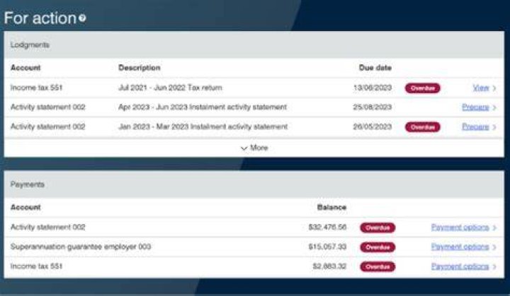 When should I see my tax return in my bank account?