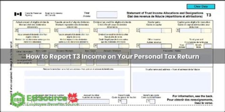 Where do you file a T3 trust Return?