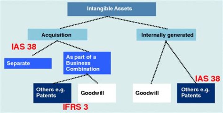 Which of the following items qualify as an intangible asset according to IAS 38?