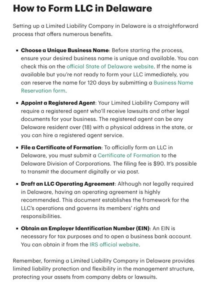Who are the members of a Delaware LLC?