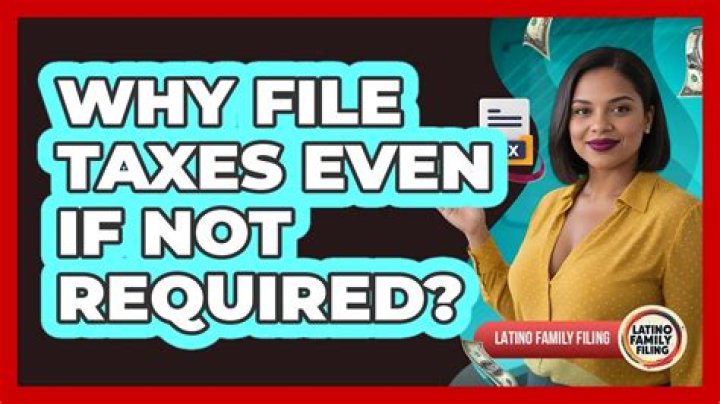 Who is not required to file taxes 2017?
