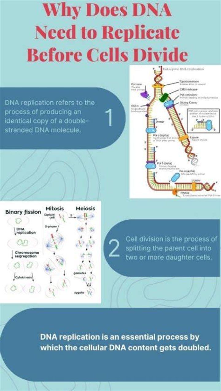 Why does DNA need to be primed?